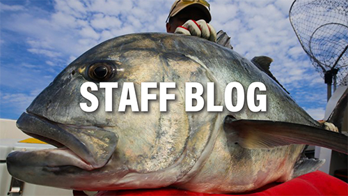 Aquila MST 711-8+ | リップルフィッシャーリップルフィッシャー