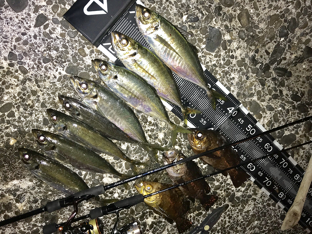 テストレポート】MonsterImpact 90H & RealCrescent 実釣レポート