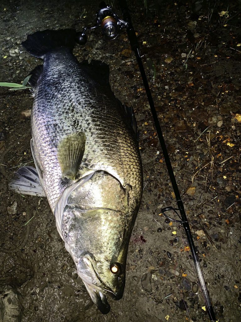 2019年新製品解説】MonsterImpact 90Hについて | リップルフィッシャー