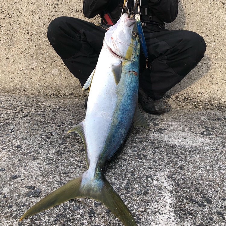 RunnerExccedシリーズ ショアマサ・レポート | リップルフィッシャー