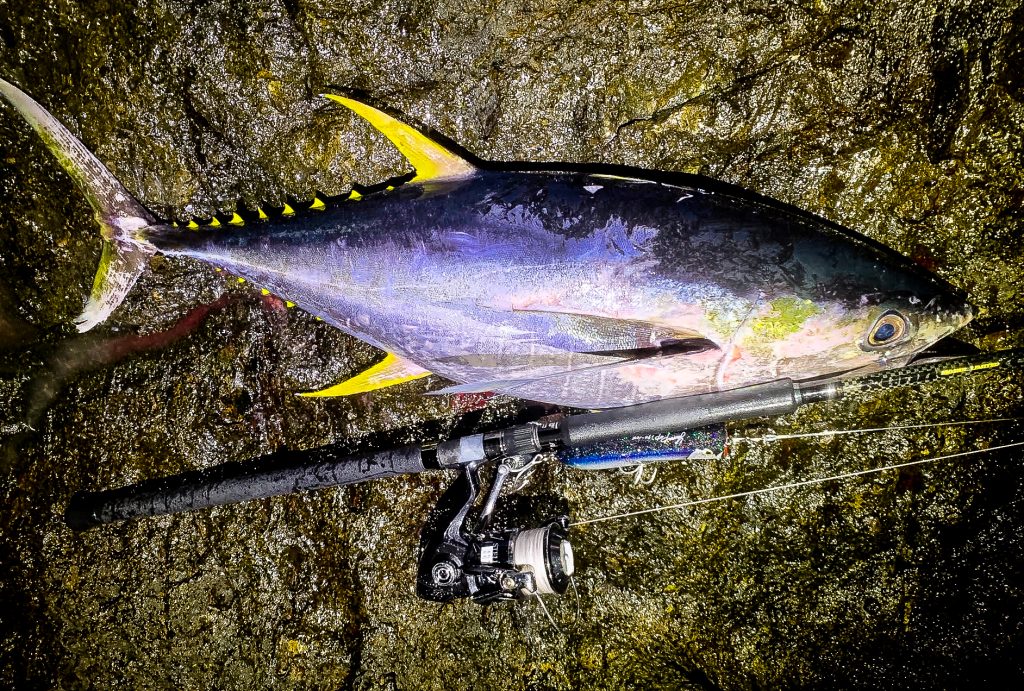 RunnerExcced 100SHH LTD キハダ遠征・釣果報告 | リップル