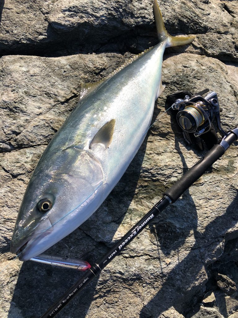 RunnerExcced 102M Nano PlugModel ショアブリ・レポート | リップル