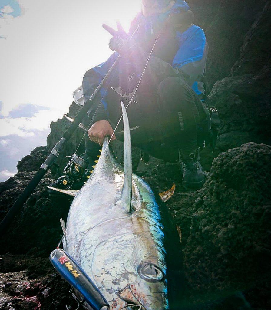 RunnerExceed 100SHH LTD ショアキハダ・釣果報告 | リップル