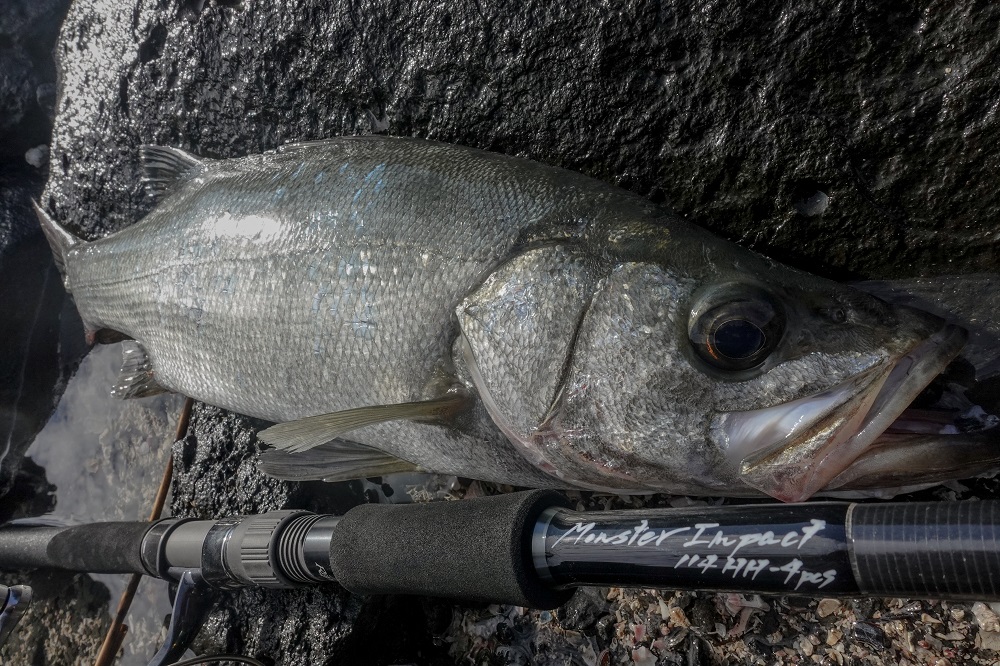 開発レポート】MonsterImpact113HH-4pcs | リップルフィッシャー