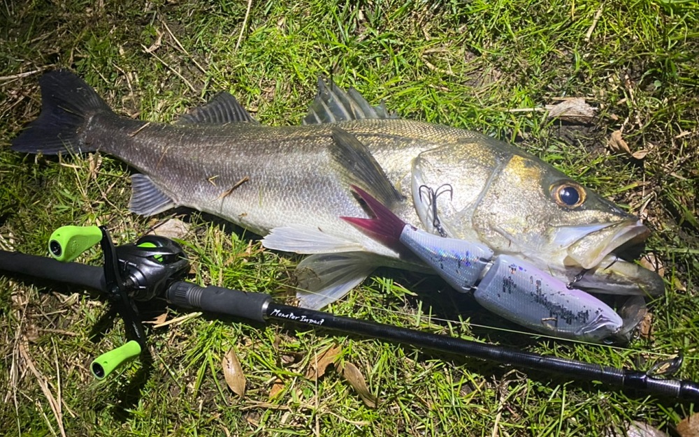 新製品紹介】MonsterImpact91BH | リップルフィッシャーリップル