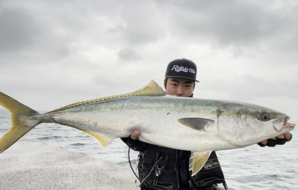 MonsterImpact 113HH 4pcs ショア青物・釣果報告 | リップル