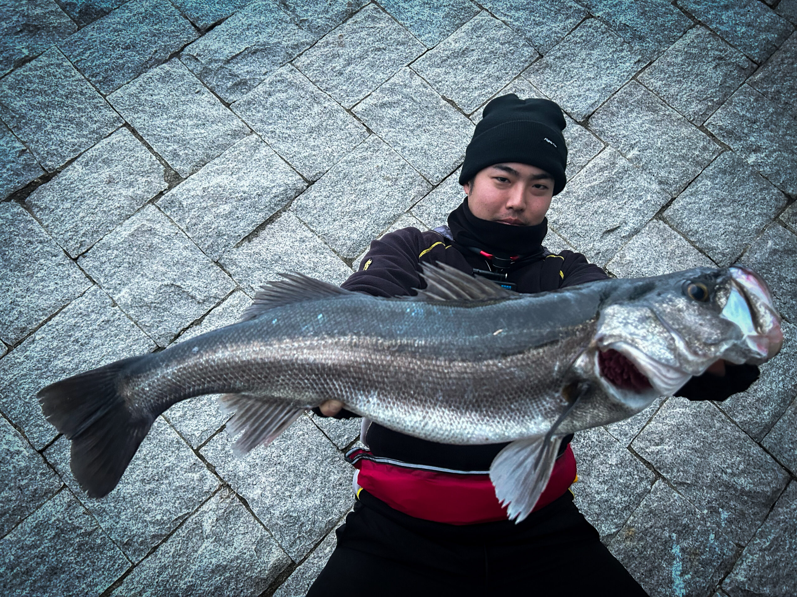 MonsterImpact 90H シーバス・釣果報告 | リップルフィッシャー