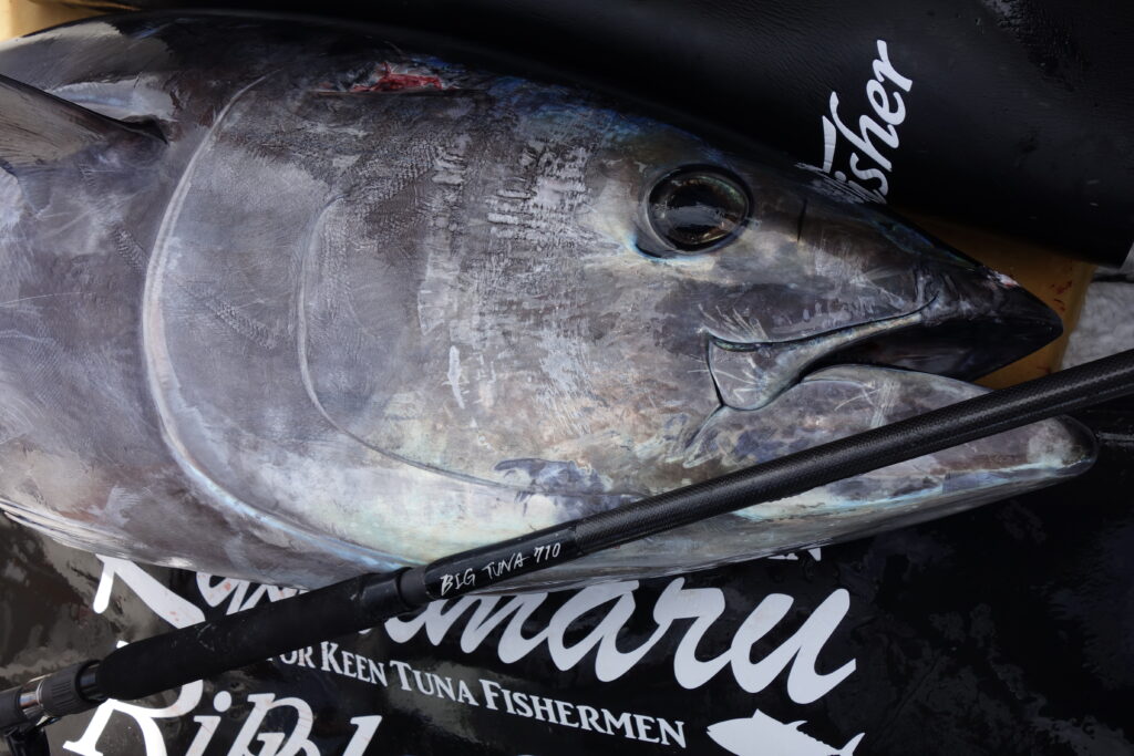 2024年 新製品紹介】BIGTUNA710RT / 86 JAPAN Special | リップル