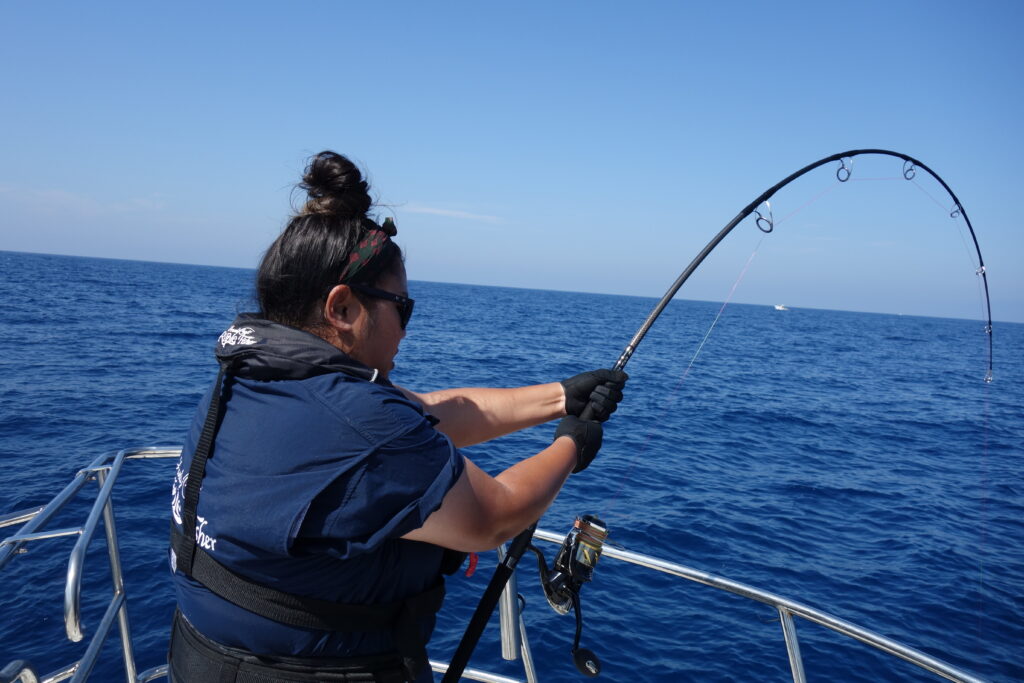 New Products Info】BIGTUNA 710RT & 86 JAPAN SPECIAL | リップル