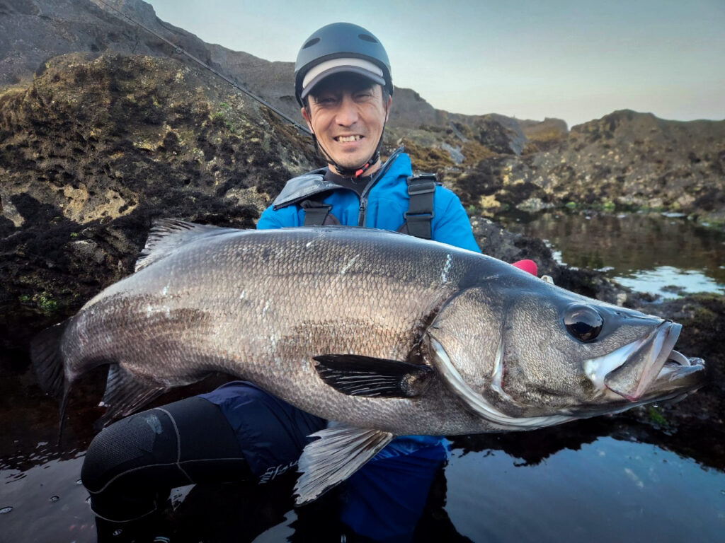 MonsterImpact 110HH Bait-HIRA ヒラスズキ釣果レポート | リップル