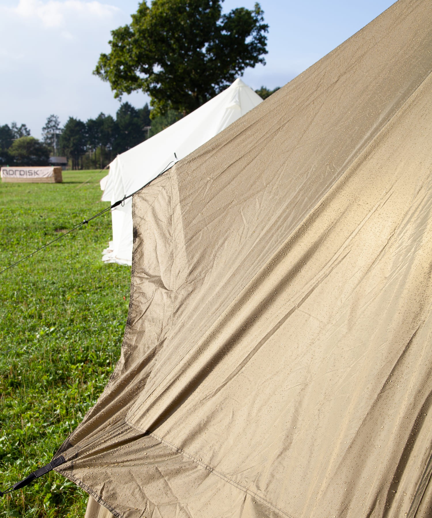 Asgard 12.6 PU SMU, Dark Olive / アスガルド12.6 PU SMU, ダーク