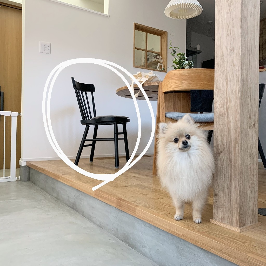 a71a33754624a1a01d20f006c03c2e