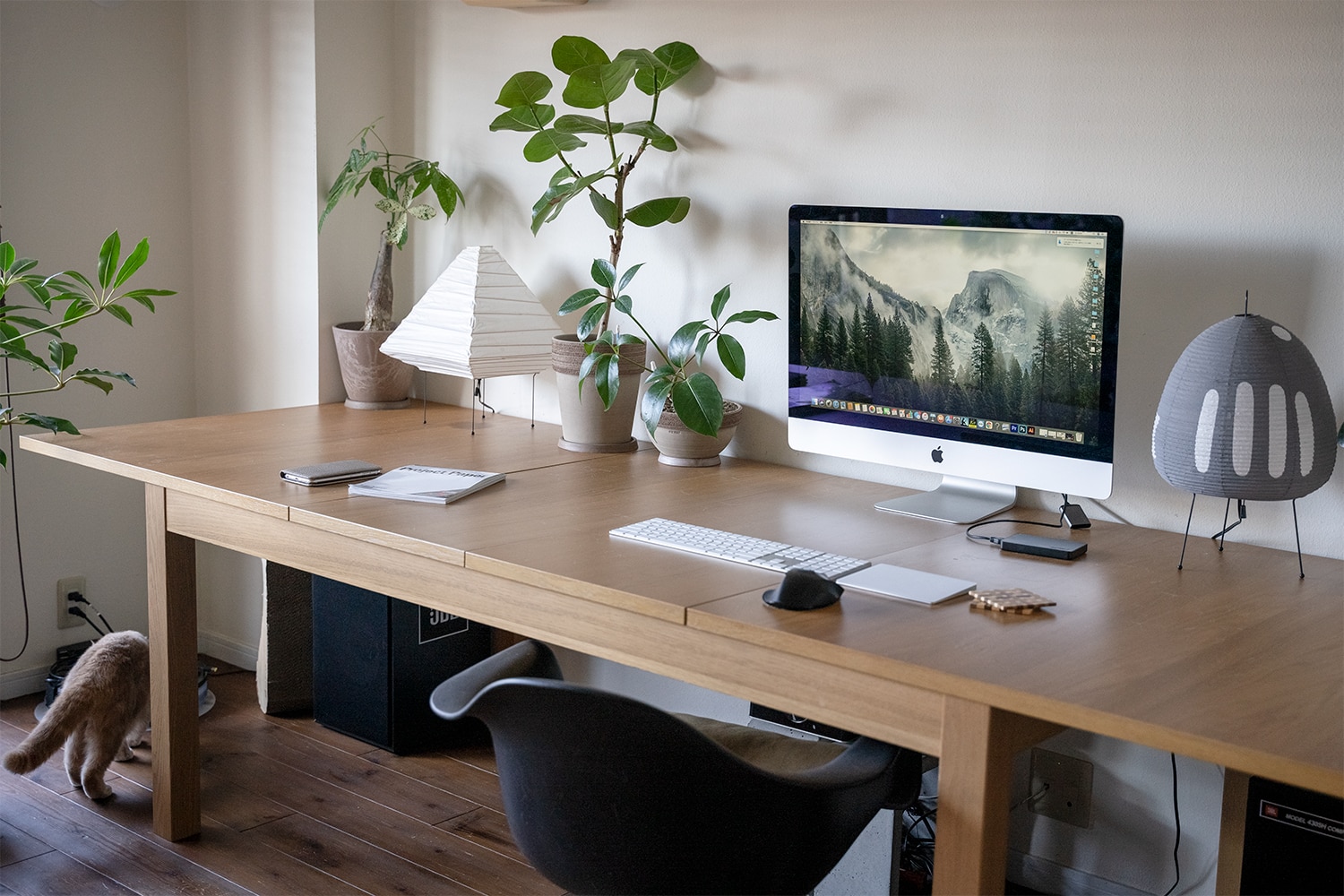 IKEA/イケア/通販】 BJURSTA ビュースタ 伸長式テーブル, オーク材突き