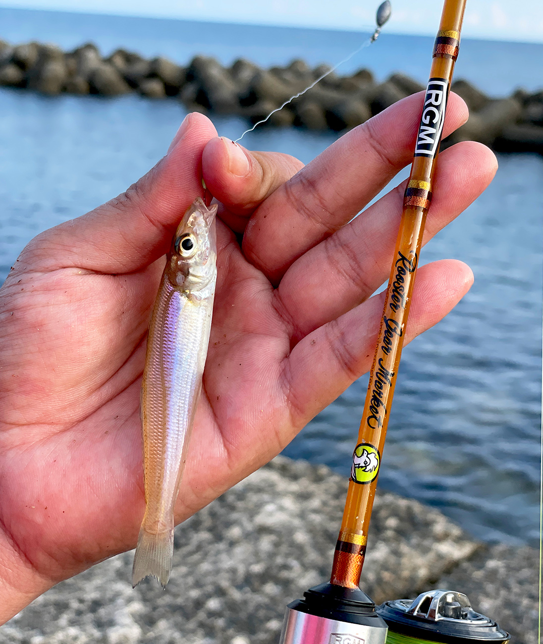 RGM spec.T | ROOSTER GEAR MARKET | ルースター ギア マーケット