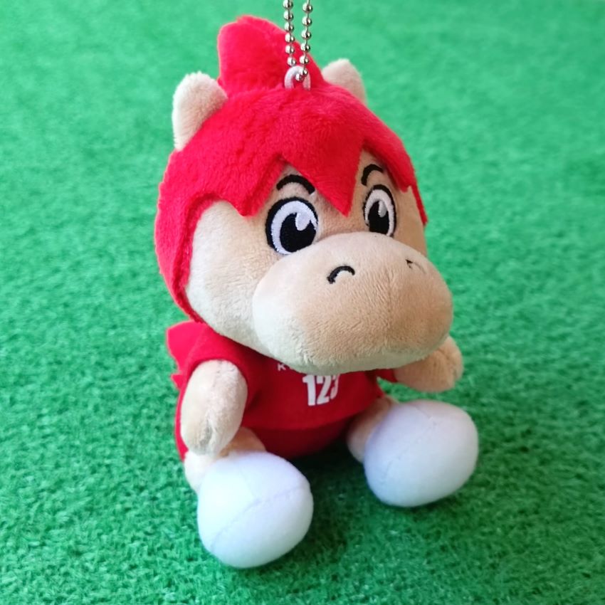 ロアッソ熊本 公式サイト｜ROASSO KUMAMOTO OFFICIAL WEBSITE