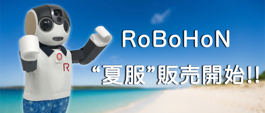 デアゴスティーニの初代Robi組立完成品（キャリングケース＋Robi専用