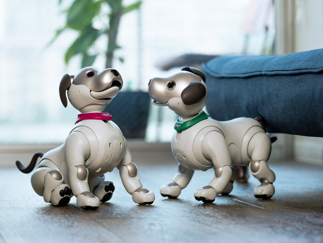 aiboネーム首輪 – ROBO-UNI