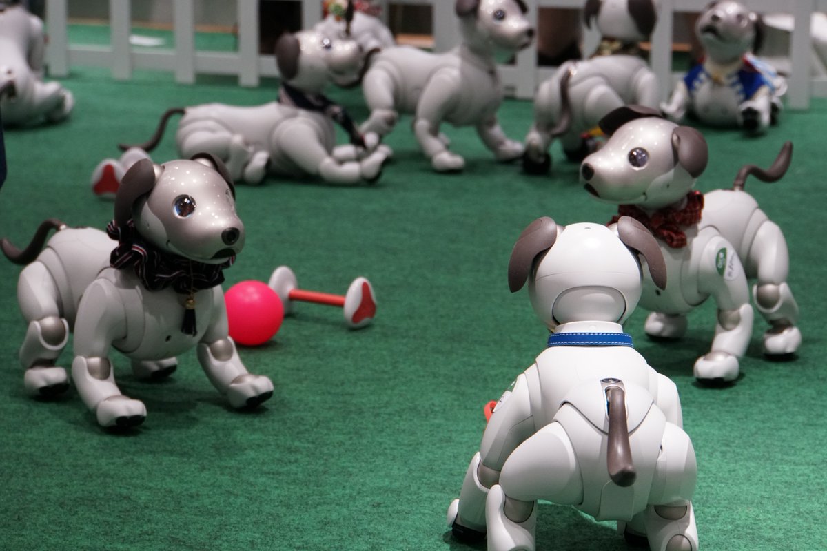 おすすめの人気ロボット犬6選！選び方、注意点もご解説 | ロボット