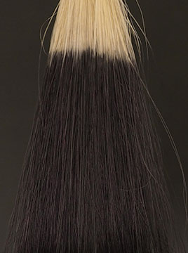 デイラルカラー全4色の染まりを徹底検証。口コミ分析＆専門家の全成分