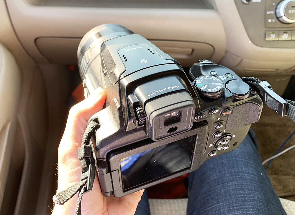 光学83倍の超望遠デジカメ「ニコンCOOLPIX P900」でアフリカのサファリ