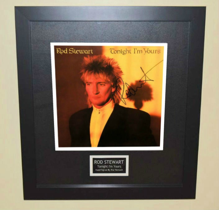 RRod Stewart – Tonight I'm Yours, rock star galleryROCK STAR gallery