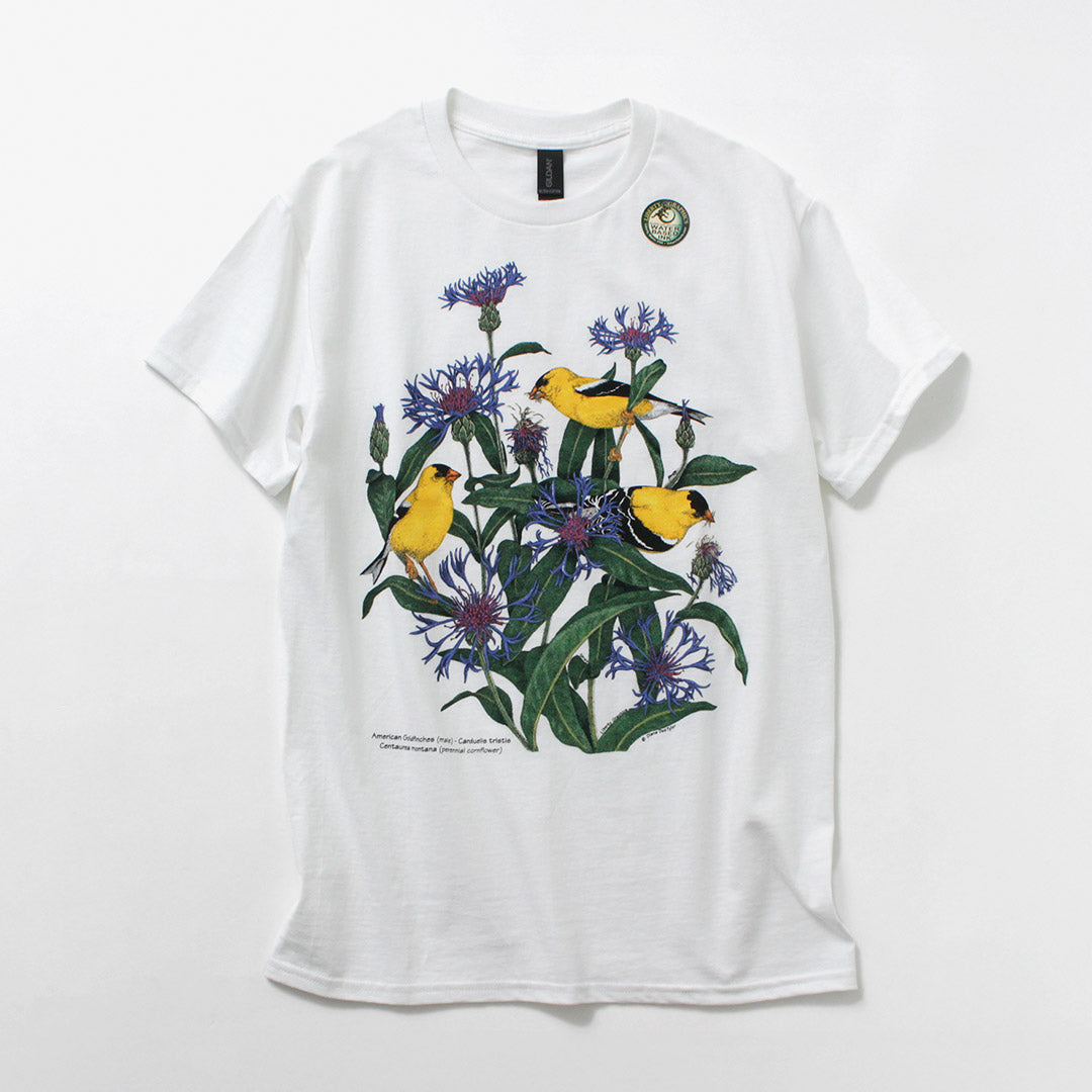 LIBERTY GRAPHICS（リバティ グラフィックス） フラワー プリント T