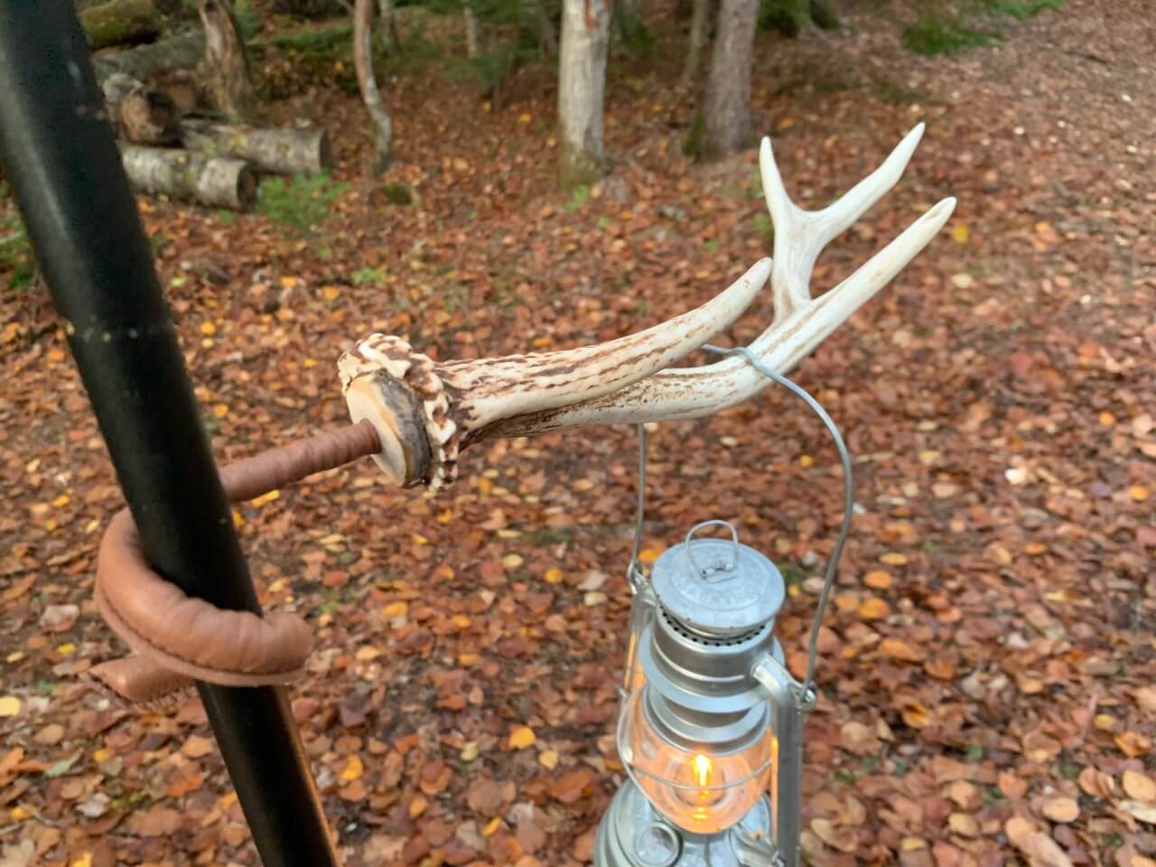 エゾ鹿角 ランタンハンガー - ROKUBO( ロクボー ) 北海道アウトドア