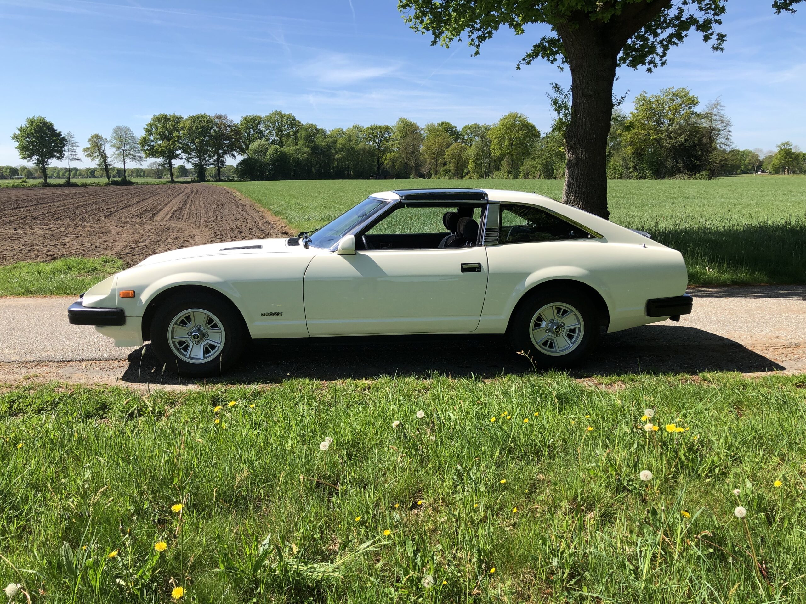 Datsun 280ZX 2+2 T-Top | 1980 – Route 66 Auctions