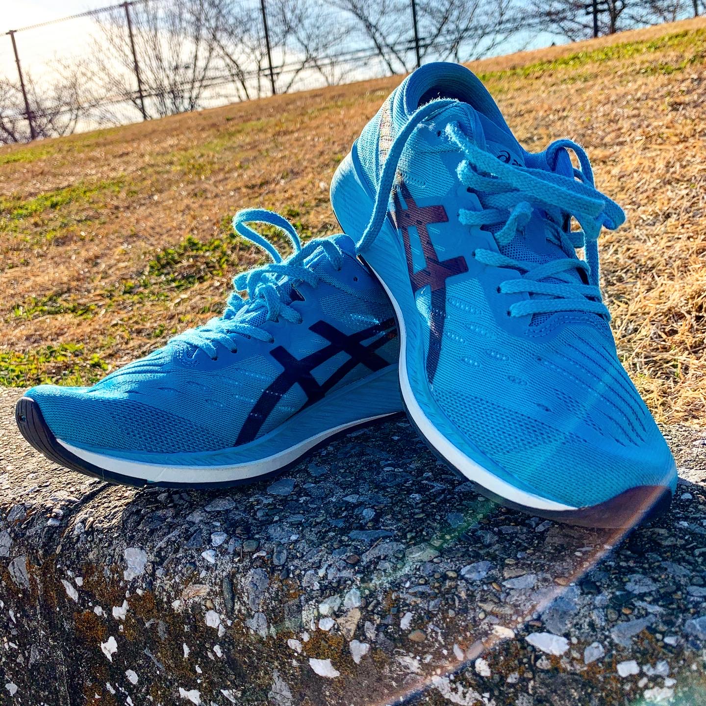 asicsのメタレーサーを使用してのレビュー - RunFarmer Shikata