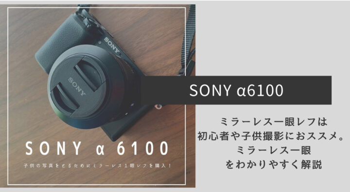 SONY α6100】ミラーレス一眼レフが初心者や子供撮影におススメ。ミラー