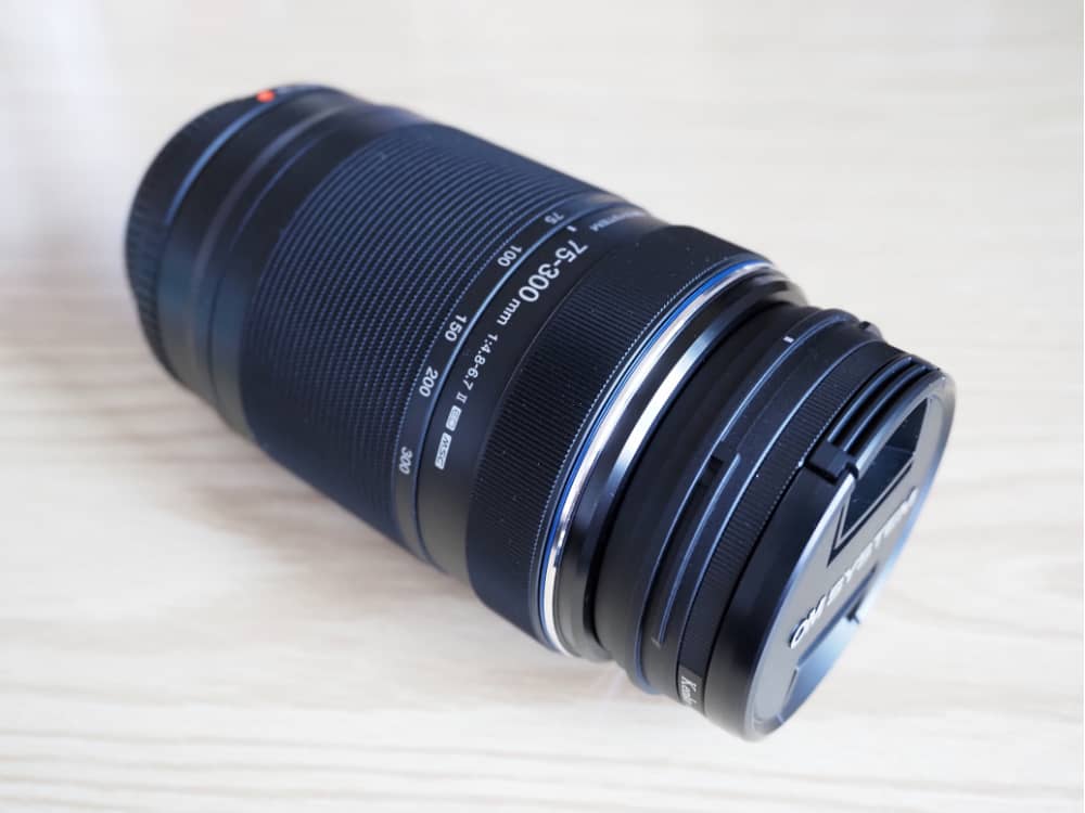 M.ZUIKO DIGITAL ED 75-300mmで野鳥撮影｜4万円のコスパ望遠レンズ