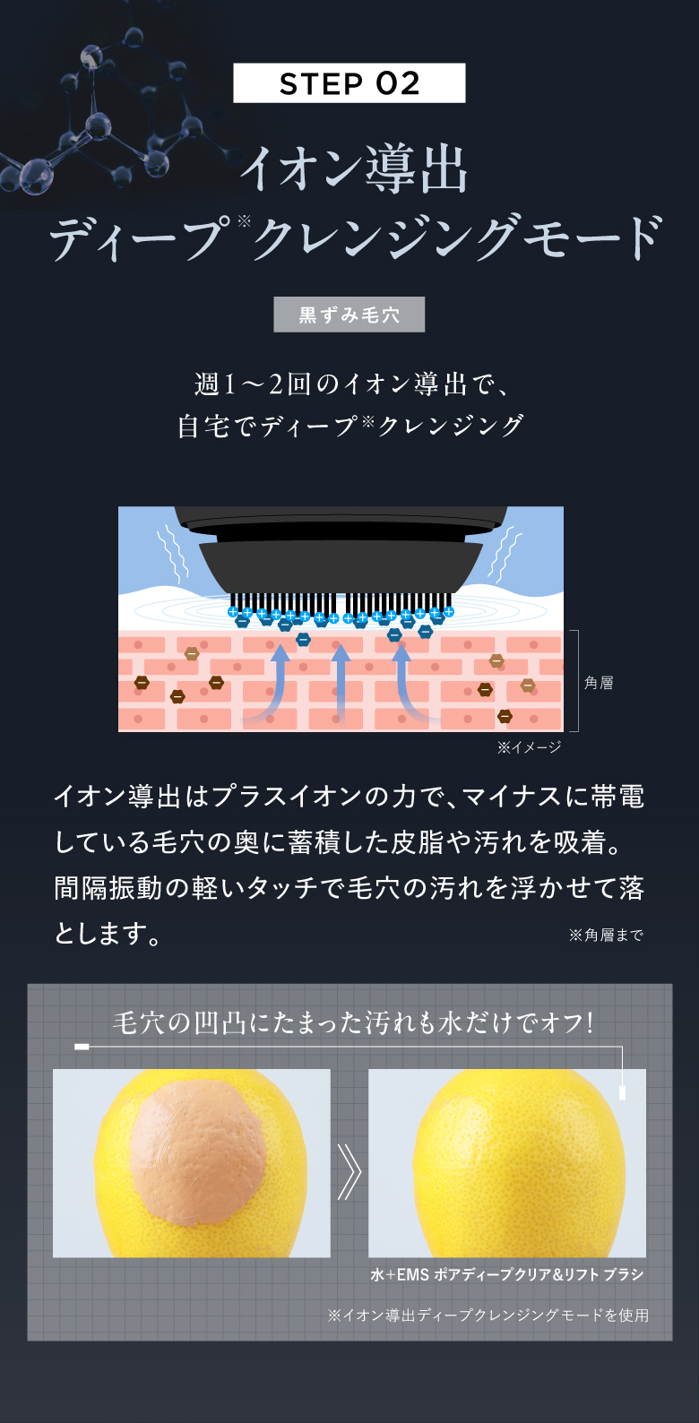 EMS ポアディープクリアアンドリフト ブラシ | DISM(ディズム