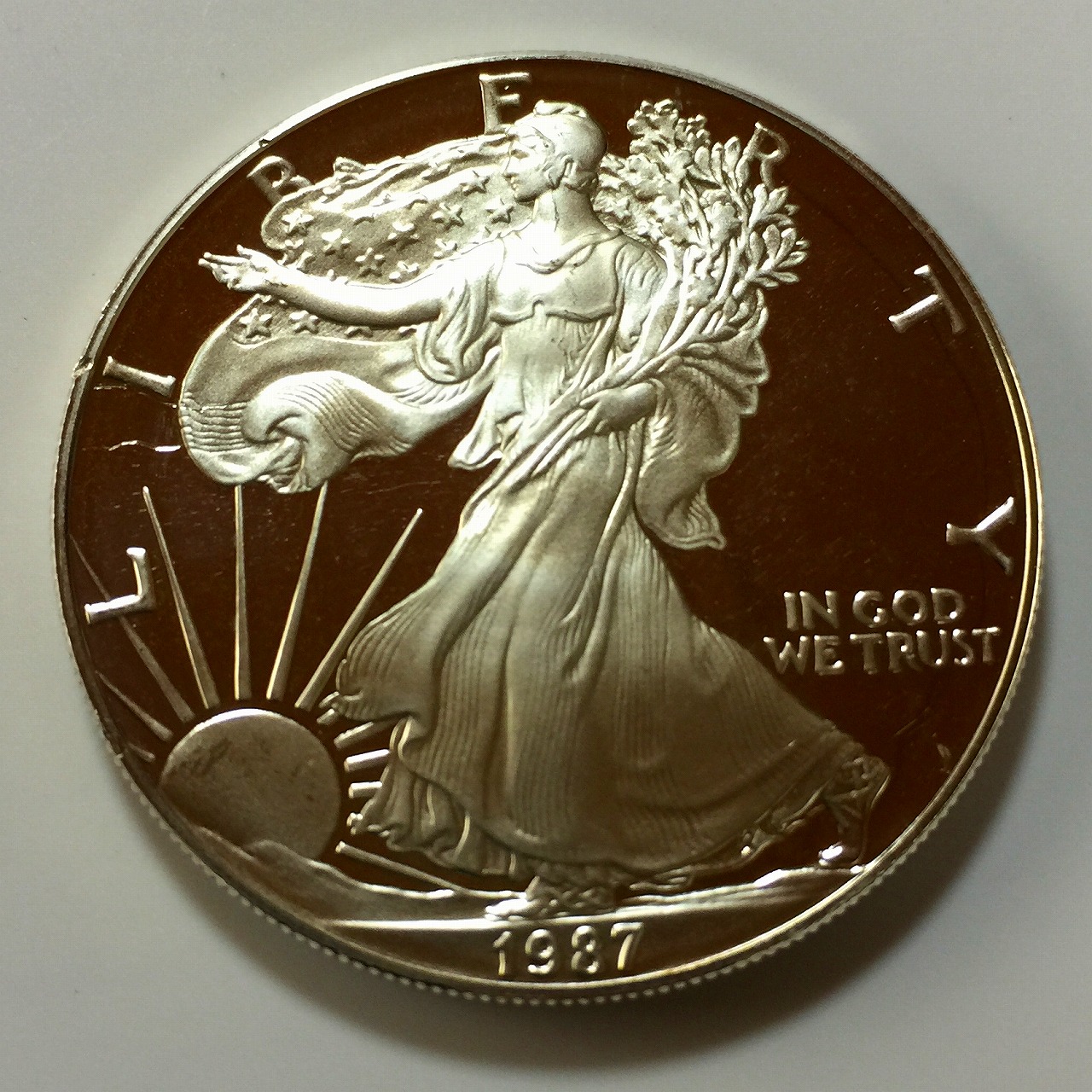 アメリカ銀貨 1オンス イーグル 1987年 | 収集ワールド