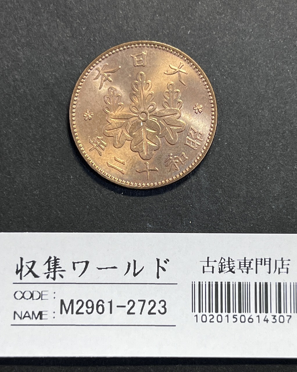 桐 1銭青銅貨 昭和12年銘(1937年) 近代貨幣 外径 23.03mm 未使用