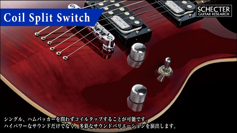 SCHECTER RJ-1-24-TOM | SCHECTER