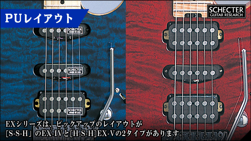 SCHECTER EX-24-STD-FRT | SCHECTER