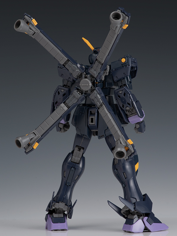 RG クロスボーン・ガンダムX2 レビュー