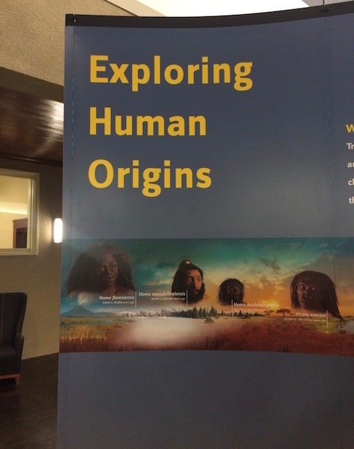 Smithsonian's Traveling Human Origins Exhibit Overstates the Case