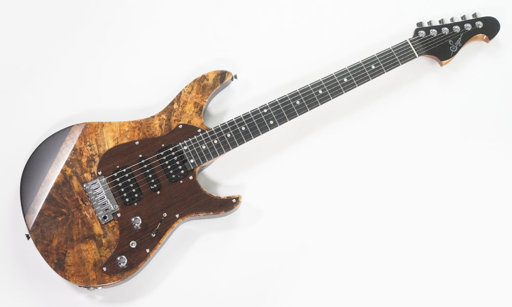 Sagoの日！2ハムギターモデル特集 | Sago New Material Guitars
