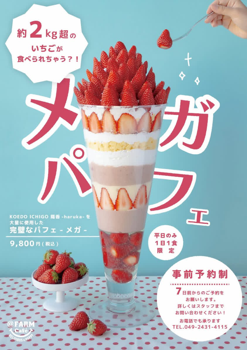巨大すぎるパフェ！？アットファームで2kg超(8～10人前)のメガイチゴ