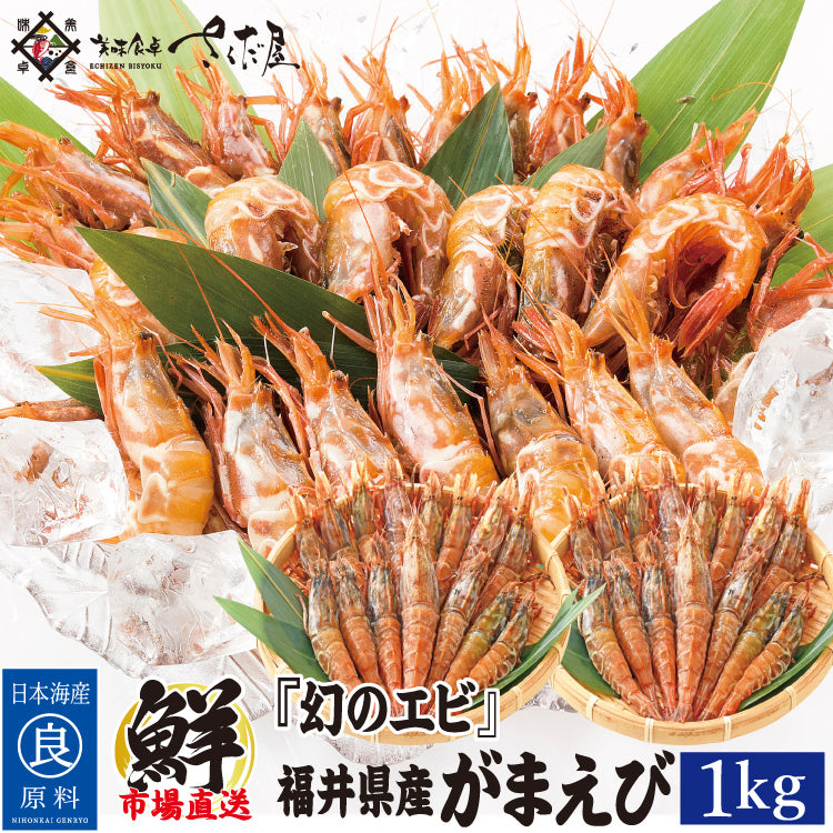 日本海産 がらえび ガラエビ 生食用 500g～1kg ｜ 福井県越前市の魚屋