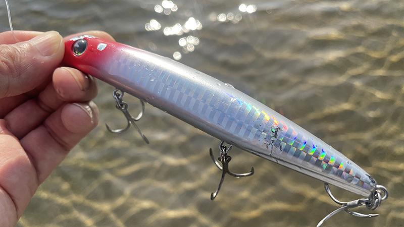 2026年アプデ】シーバスの反則ルアーセレクト15選！最新リスト | sakanaza