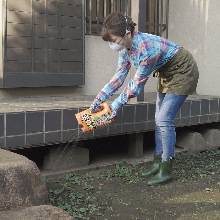 カダン除草王 ザッソージエース｜種（タネ）,球根,苗,資材