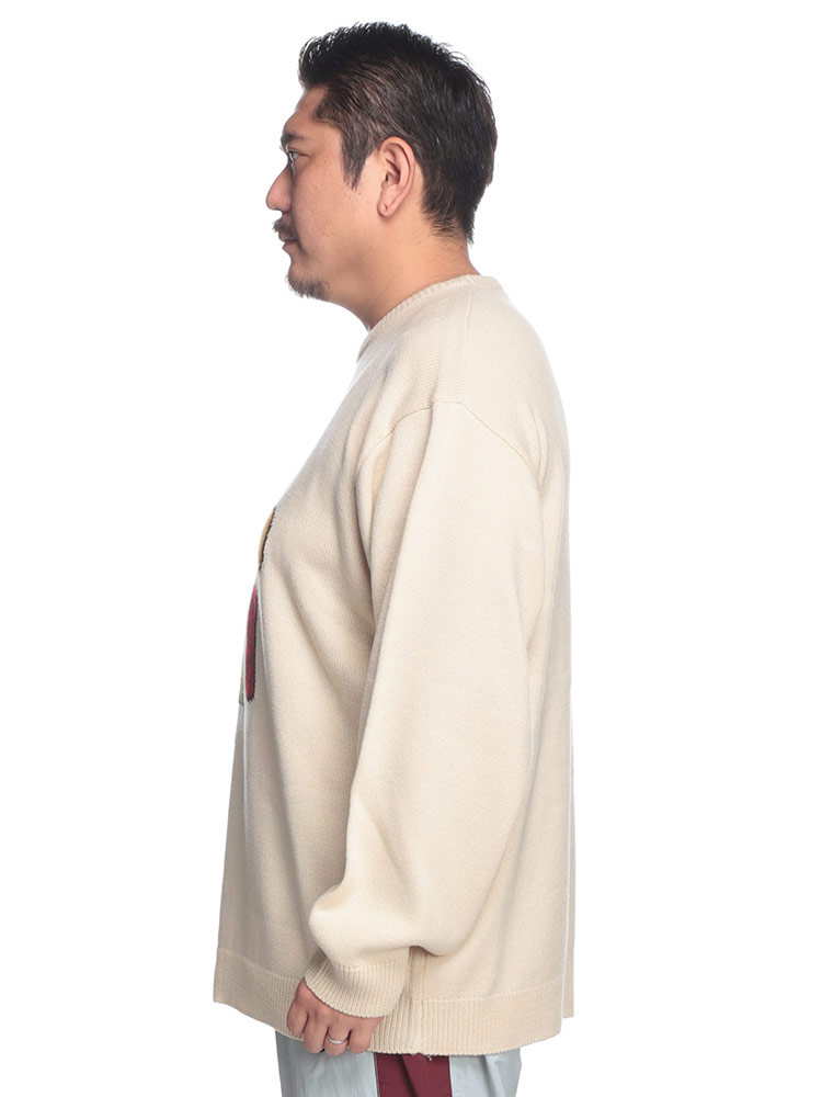 長袖 ニット ペッツ クルーネック トップス セーター 洗える 秋冬