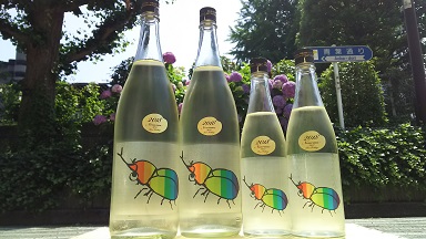 仙禽かぶとむし待望の再入荷です！！ - 仙禽 - ワダヤ 日本酒 ワイン