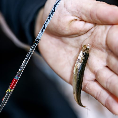 ワカサギ竿のおすすめ30選。特徴や選び方についても詳しくご紹介