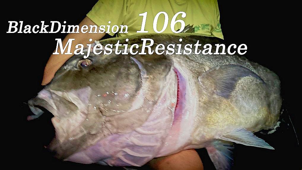 TRUTH JAPAN ショアGTロッド BlackDimension 106MR 入荷 – SARASI