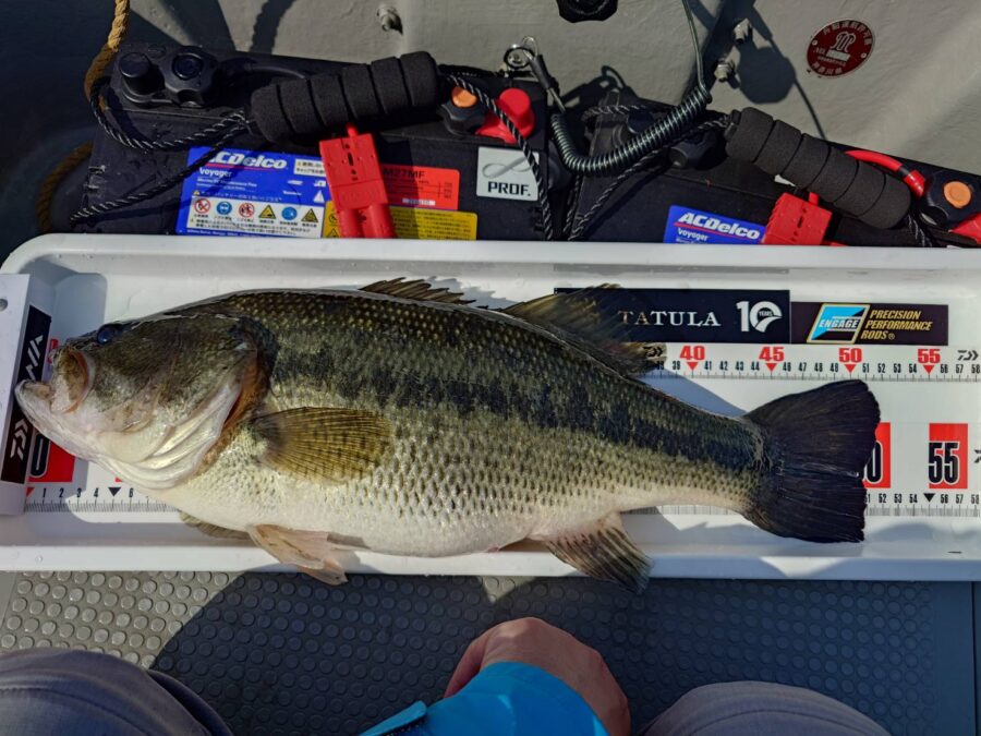 松尾様～津久井湖/ブラックバス30cm～52cm/3本～ – フィッシング相模屋