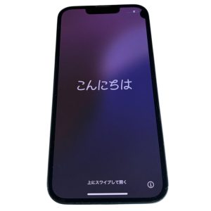 Google Pixel 9a / 128GB / Obsidianの買取実績 | 買取専門店さすがや