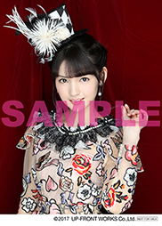 マック】 道重さゆみ sayuminglandoll 2L生写真 16枚 マック様専用